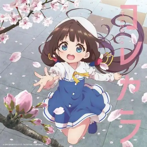 锦鲤鉴片